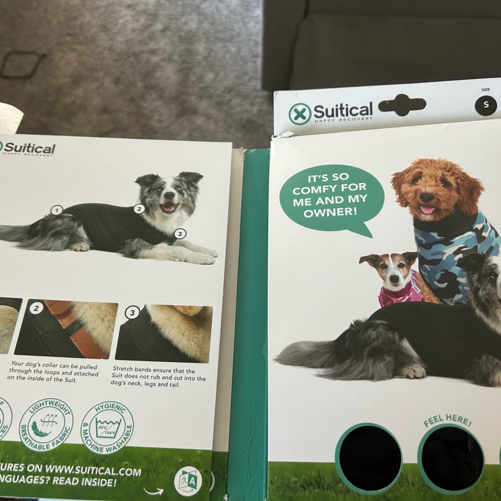 Suitical recovery suit for dogs